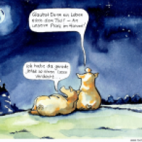 Schweinehimmel