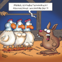 Termindruck