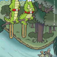 Crocodile bungee