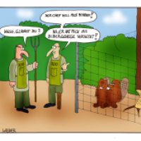 Mobbing am Arbeitsplatz