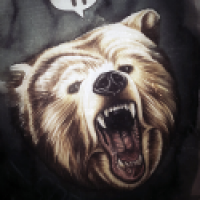 Hungry Bear