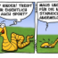 Rolli - Stabhochsprung