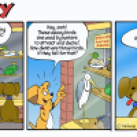 Sparky: Decoy Birds