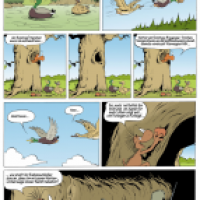 Dilldappen: Siebenschläfer