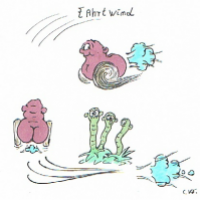 Fahrtwind