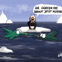 Brautfisch