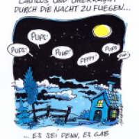 Eulen in der Nacht