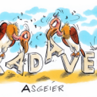 Aasgeier