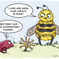 Frühlingserwachen mit der Scheinriesenhummel