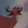 CyrustheWolf_OwO