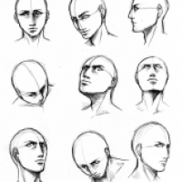 Perspektiven des Kopfes