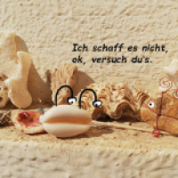 Riffgeschichte (letzter Teil)