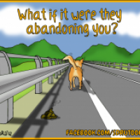 Be aware of the dog!