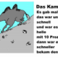 Das Kamel