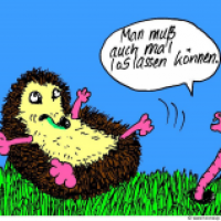 'Mann muss auch mal loslassen können...'