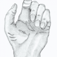 Hand, Fingerzweig