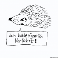 Eigentlich Vorfahrt