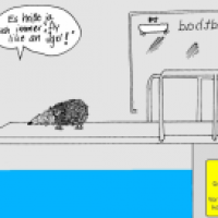 Fly like an Igel