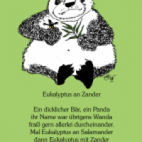 Eukalyptus an Zander