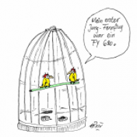 Jung-Fernflug