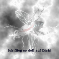 Ich flieg auf Dich!