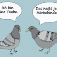 Eine (Großstadt-) Taube