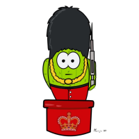 Ein Kaktus am Morgen