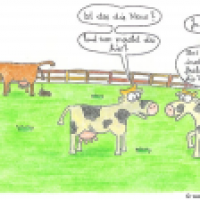 Auf der Weide