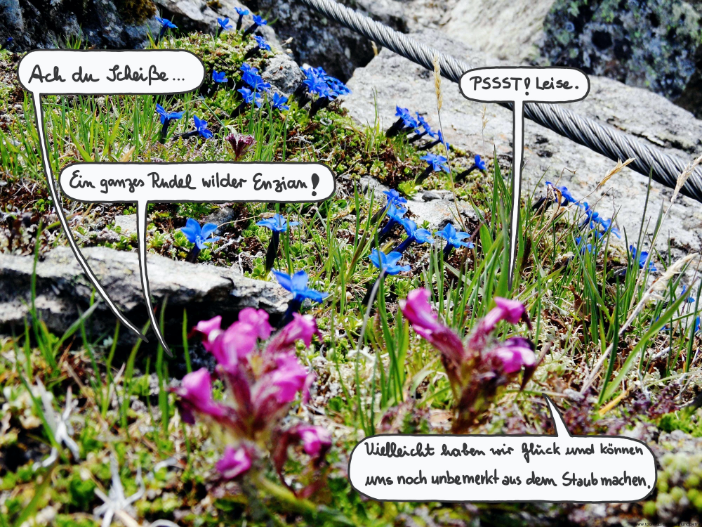 Cartoon: Urlaub mit Herrman Delkow 5