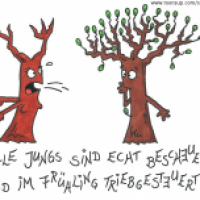 Jungs im Frühling