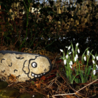 Frühlingsboten