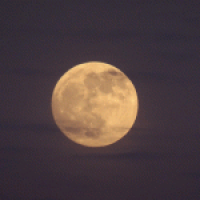 Mann im Mond
