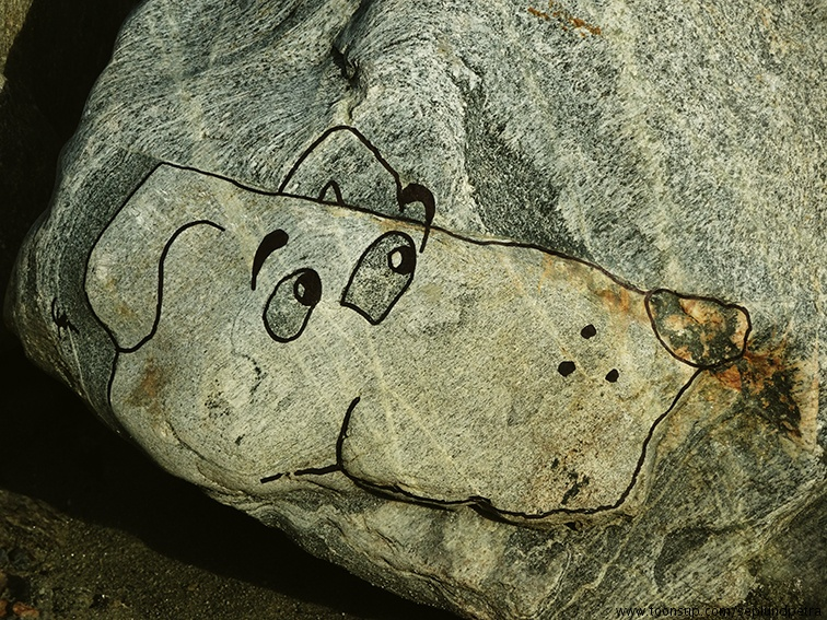 Illustration: Wunder der Natur 2