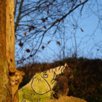 Silvestermorgen