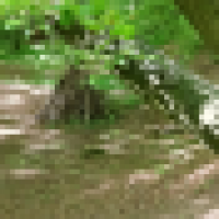 Spielkuhle