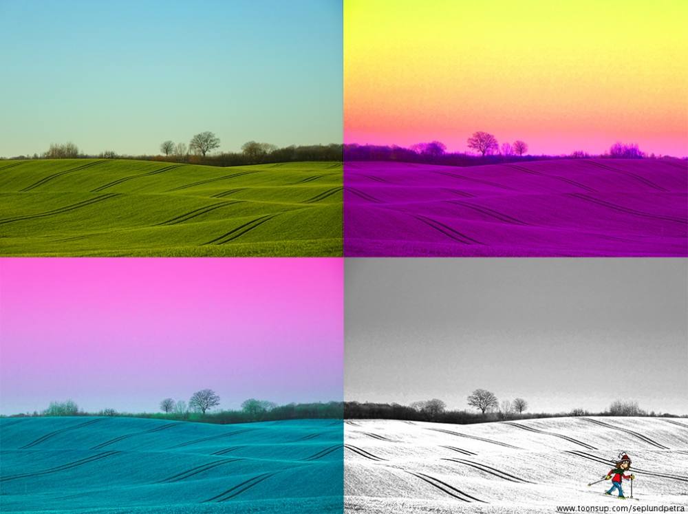 Illustration: Feld an der Schlei 1