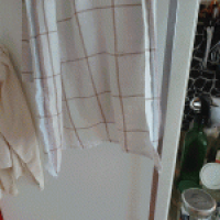 Aus dem Kühlschrank in den Kühlschrank