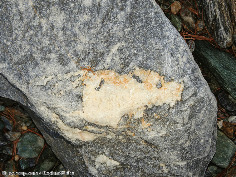 Illustration: Alpine Frühlingswerke (kleine Auswahl) 6