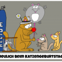 Katzengeburtstag