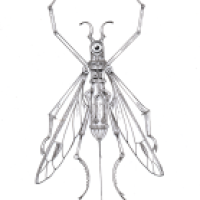 #inktober2023 #inktober #Tag3