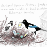 Diebische Elstern!