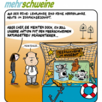 mehr schweine 12