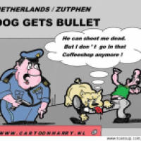 Dog Gets Bullet