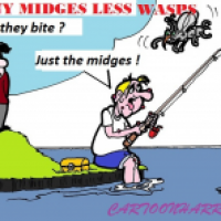 Many Midges Less Wasps