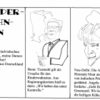 Rinderwahnsinn