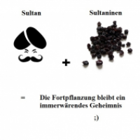 Von Sultan und ... *hui*