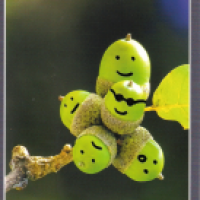 Eichelästchen