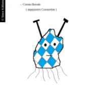 Neues Coronavirus
