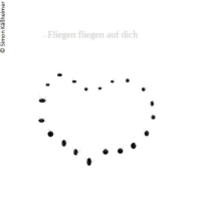 Fliegen fliegen ...