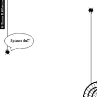 Houdinispinne